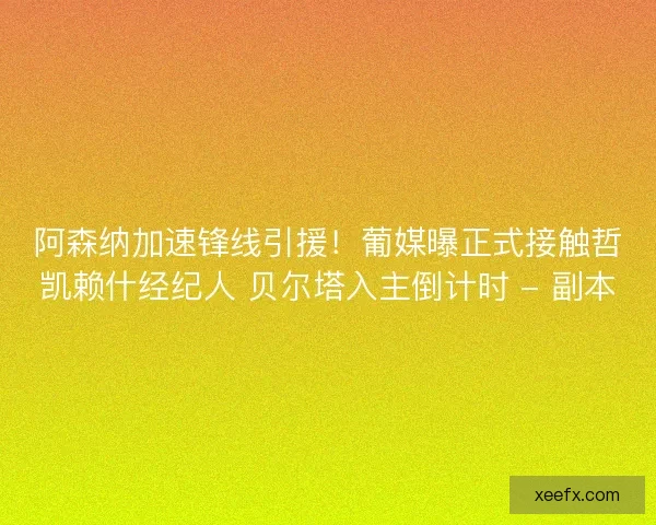 阿森纳加速锋线引援！葡媒曝正式接触哲凯赖什经纪人 贝尔塔入主倒计时 - 副本
