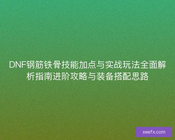 DNF钢筋铁骨技能加点与实战玩法全面解析指南进阶攻略与装备搭配思路