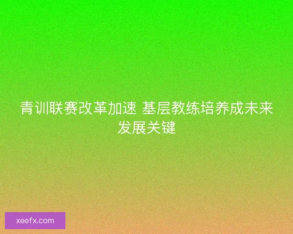 青训联赛改革加速 基层教练培养成未来发展关键