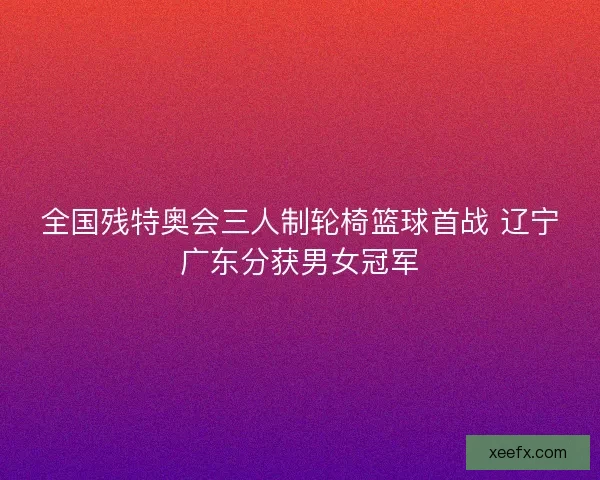 全国残特奥会三人制轮椅篮球首战 辽宁广东分获男女冠军